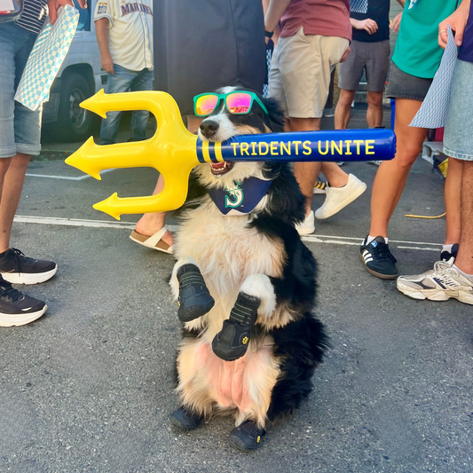 Tridents Unite - Blue Sports Handle - Blue and Yellow Inflatable Toy Trident. 🛍️ Shop now on eBay